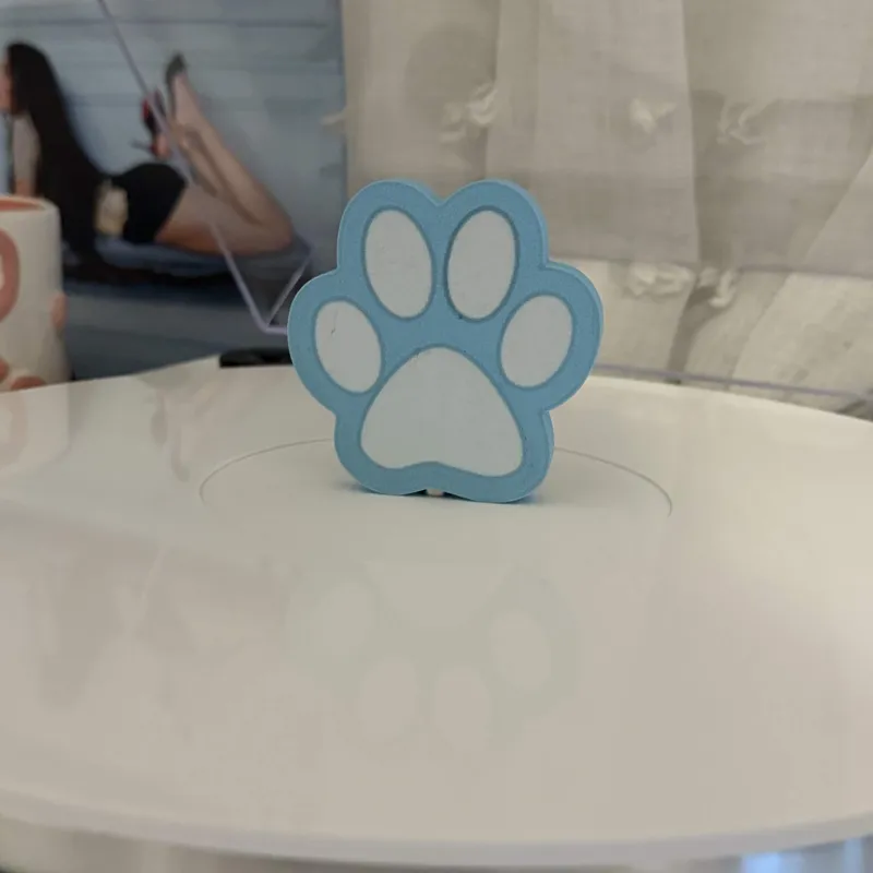 Paw Print vinyl record topper